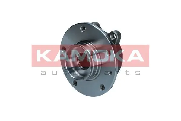 Wheel Bearing Kit 5500324