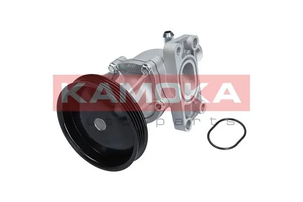 Water Pump, engine cooling T0276