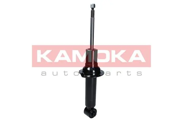 Shock Absorber 2000681