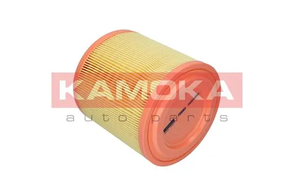 Air Filter F253301