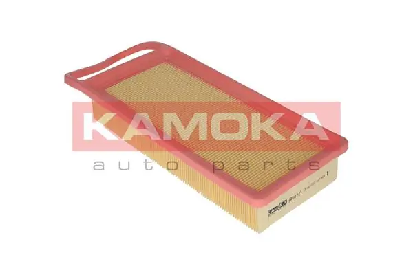 Air Filter F208701