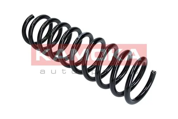 Suspension Spring 2120149