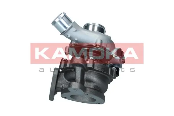 Charger, charging (supercharged/turbocharged) 8600006