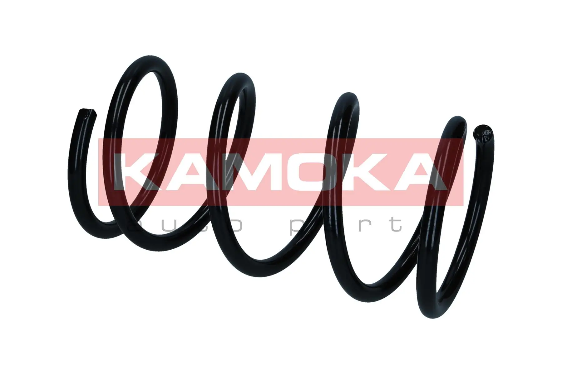 Suspension Spring 2110499