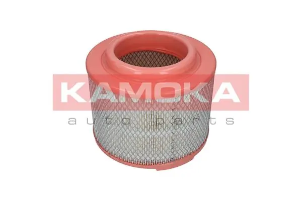 Air Filter F236201