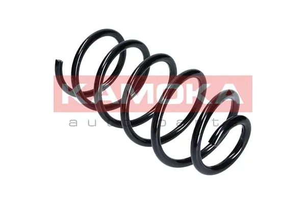 Suspension Spring 2110059