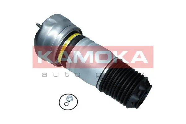 Air Spring, suspension 2079064