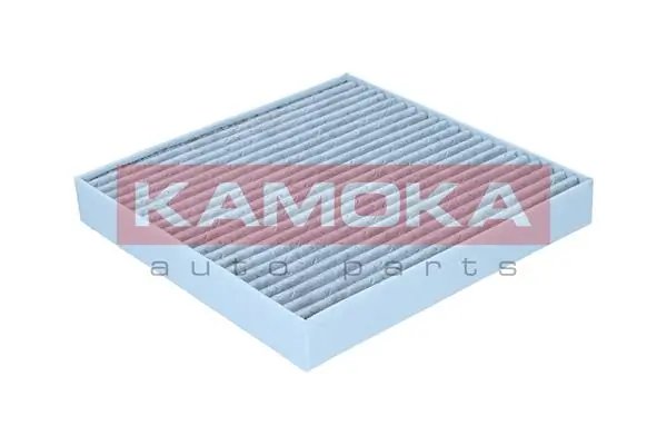 Filter, cabin air F523501