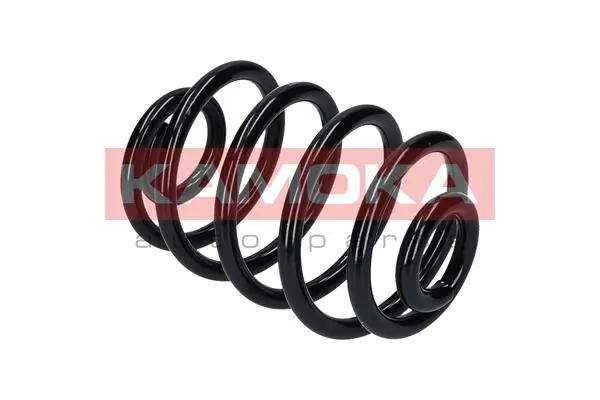 Suspension Spring 2120057