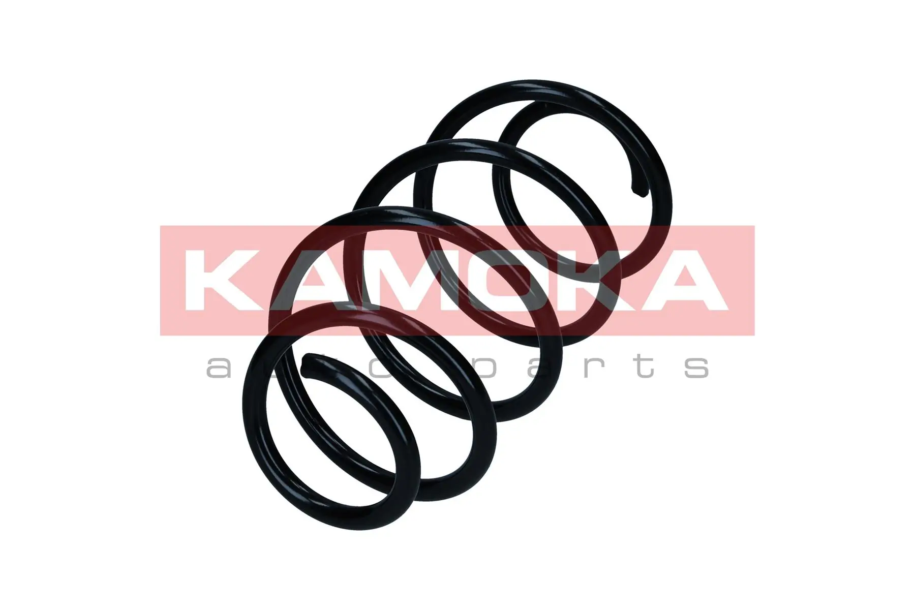 Suspension Spring 2110508