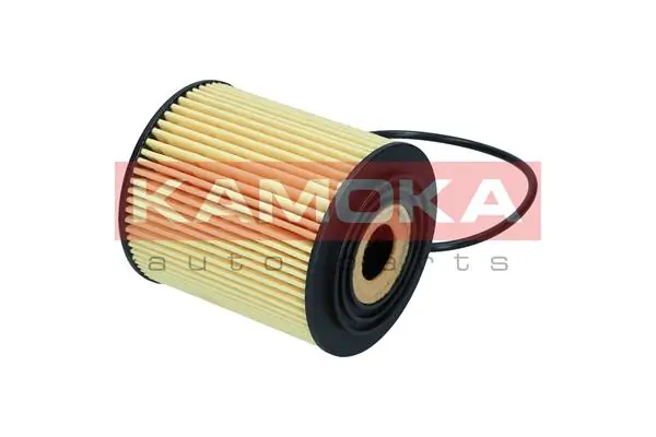Oil Filter F121901