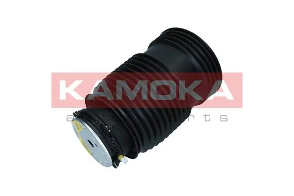 Air Spring, suspension 2079049