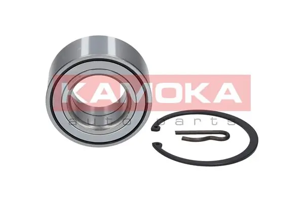 Wheel Bearing Kit 5600038