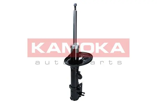 Shock Absorber 2000376