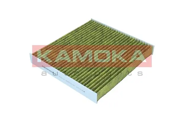 Filter, cabin air 6080180