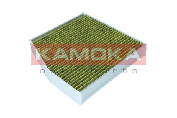 Filter, cabin air 6080084