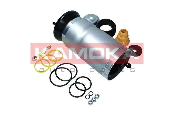 Air Spring, suspension 2079029