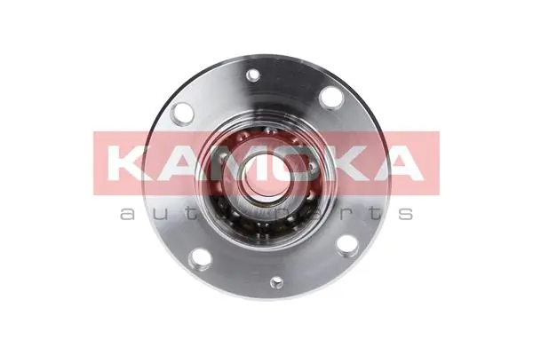 Wheel Bearing Kit 5500004