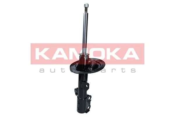Shock Absorber 2000606