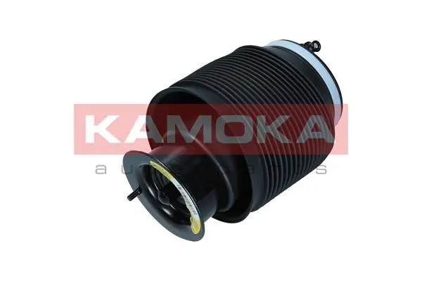 Air Spring, suspension 2079037