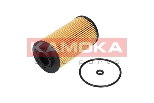 Oil Filter F111001