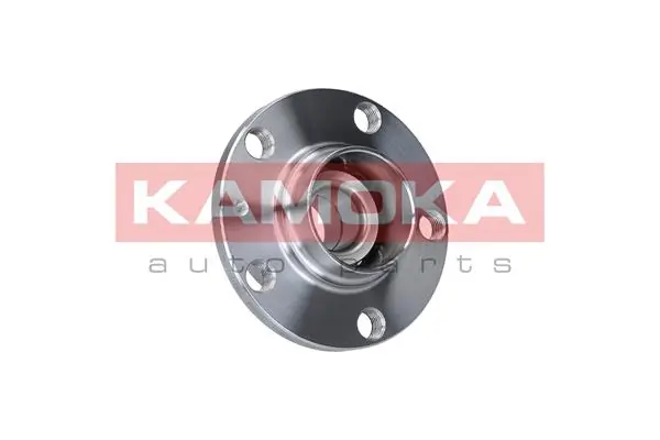 Wheel Bearing Kit 5500024