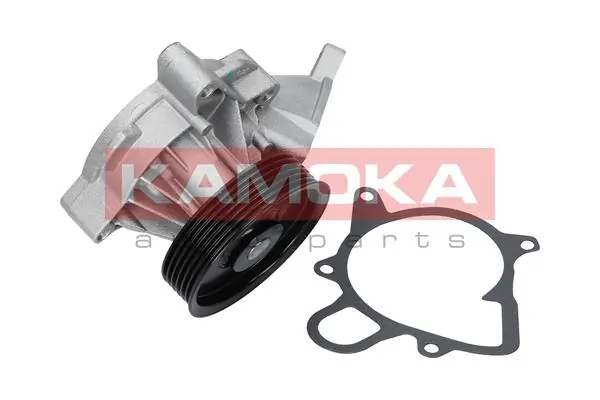 Water Pump, engine cooling T0052