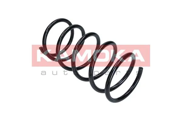 Suspension Spring 2110275