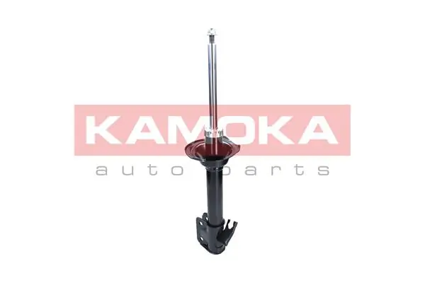 Shock Absorber 2000291