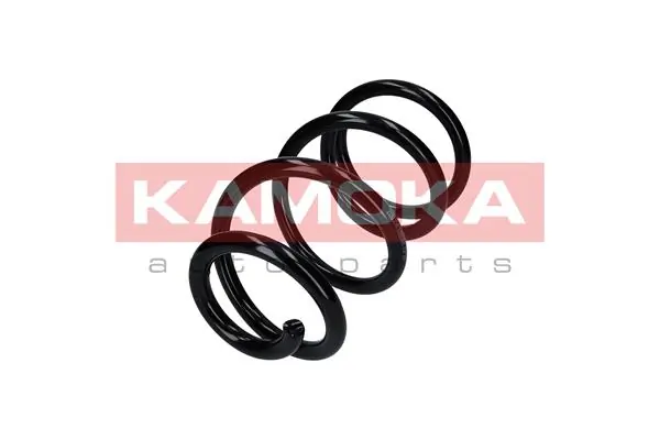 Suspension Spring 2110212