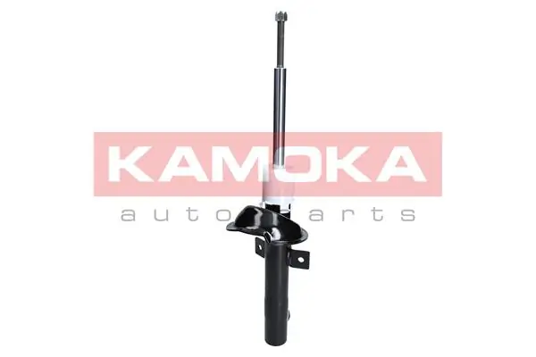 Shock Absorber 2000176