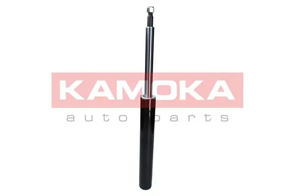 Shock Absorber 2000957