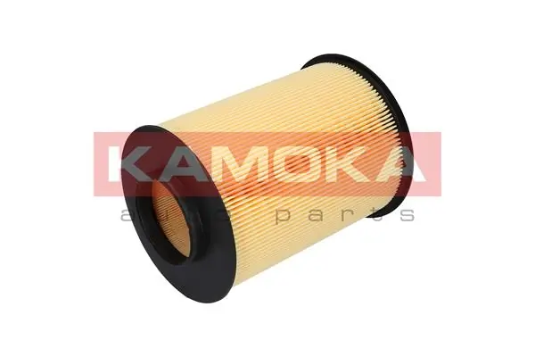 Air Filter F215801