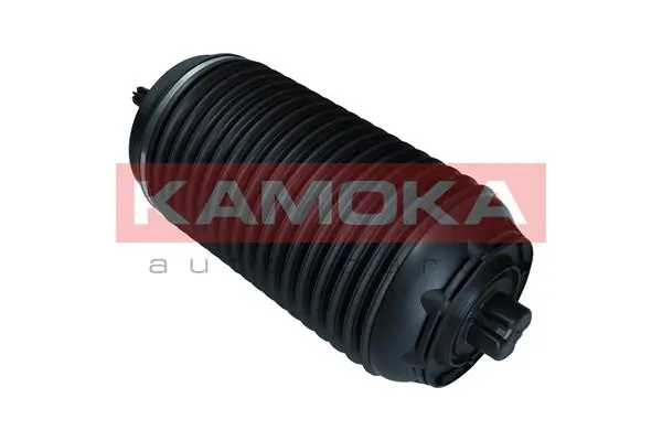 Air Spring, suspension 2079061