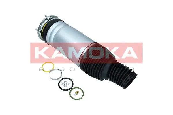 Air Spring, suspension 2079035