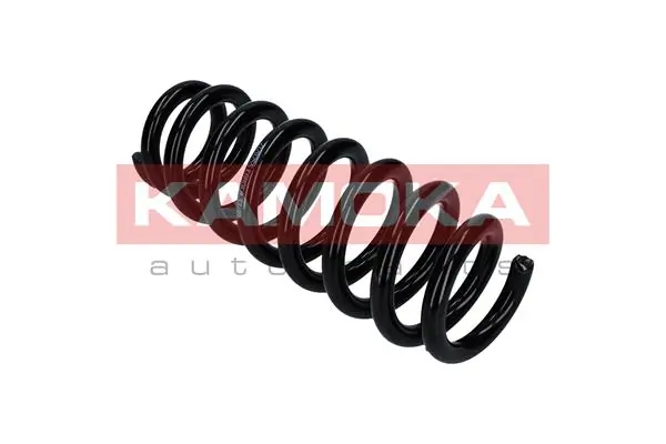 Suspension Spring 2120255