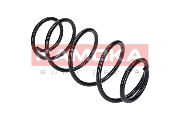 Suspension Spring 2110253