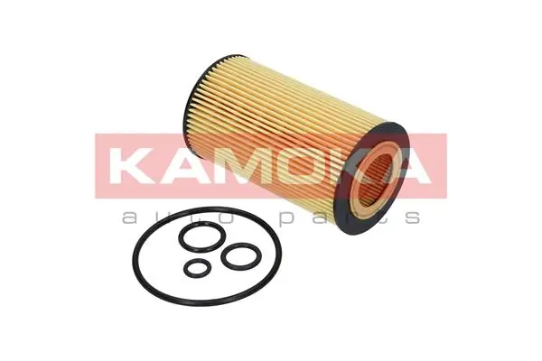 Oil Filter F105401