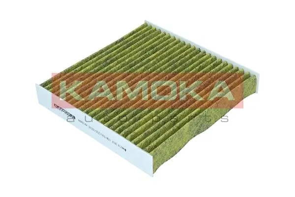 Filter, cabin air 6080144