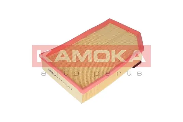 Air Filter F232001