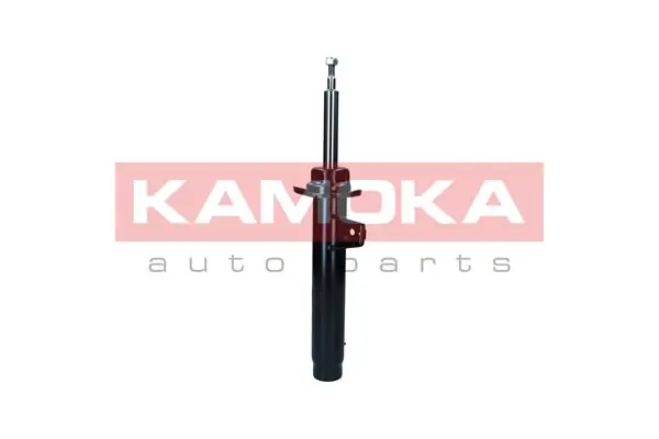 Shock Absorber 2001112