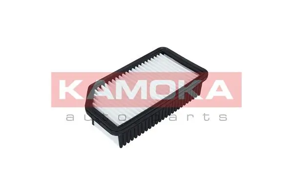 Air Filter F226201