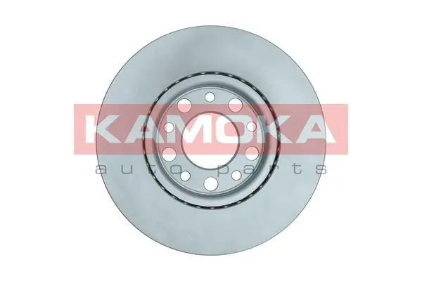 Brake Disc 103323