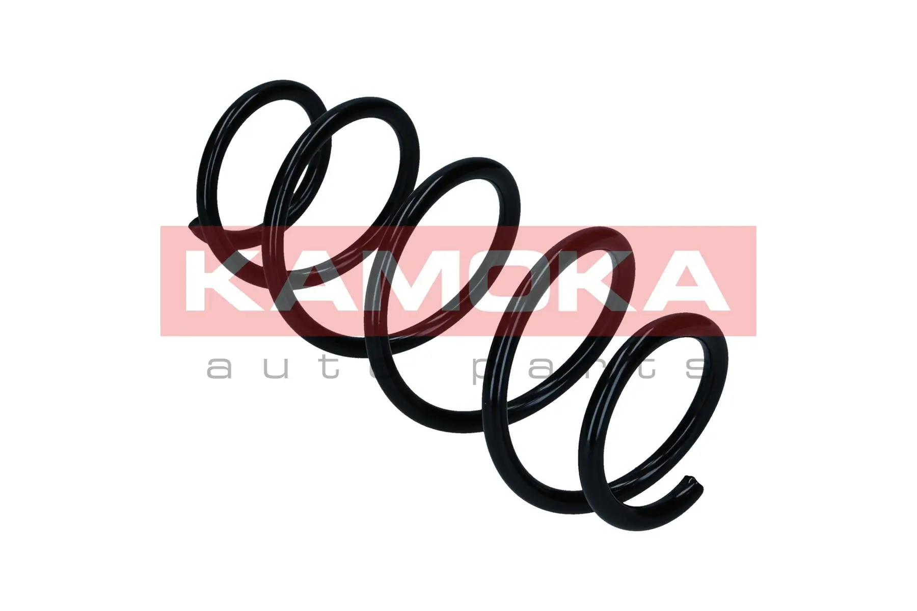 Suspension Spring 2110839