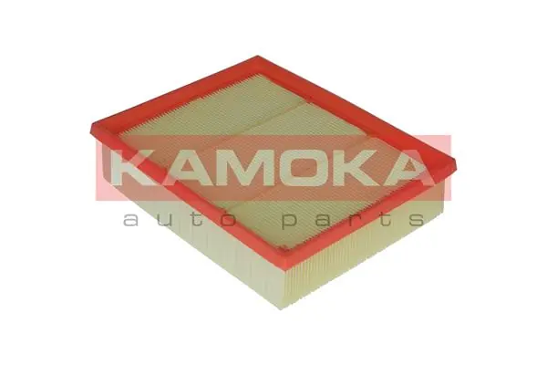 Air Filter F223601