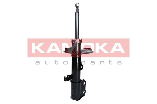 Shock Absorber 2000276