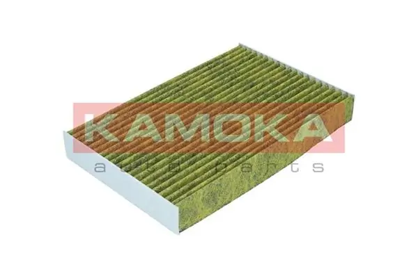 Filter, cabin air 6080090