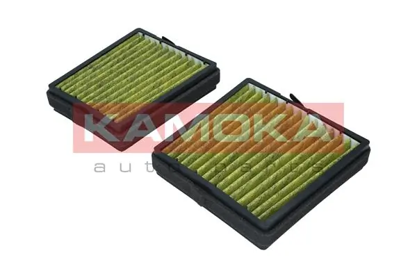 Filter, cabin air 6080046