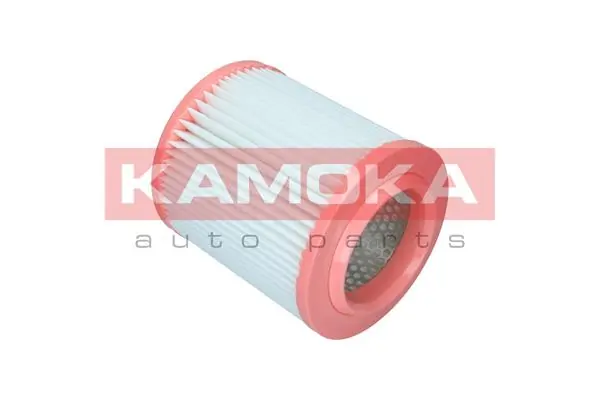 Air Filter F252401