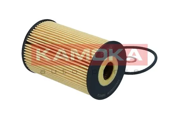 Oil Filter F124801